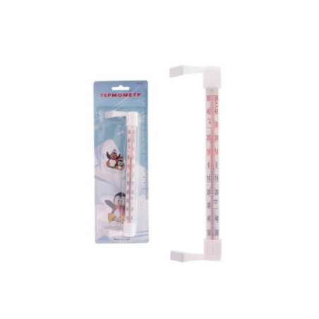 Lauko termometras 21cm