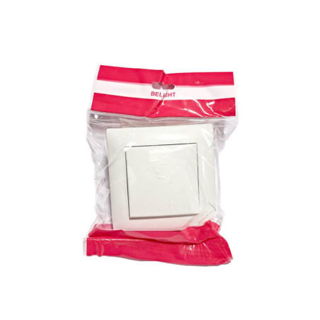 Kištukinis lizdas įleidžiamas, 1 vietos, su įžeminimu ir dangteliu