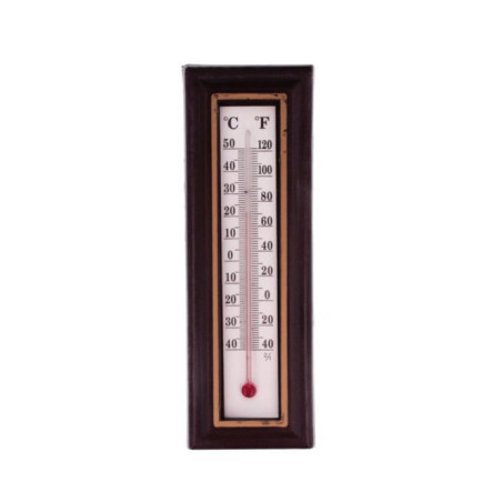 Termometras tamsios spalvos 20cm