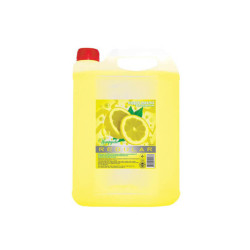 Skystas muilas Regular citrusinių vaisių 5L