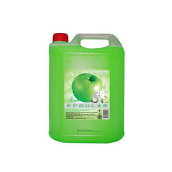 Skystas muilas Regular Obuolys 5L