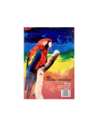 Piešimo sąsiuviniai, kartonas