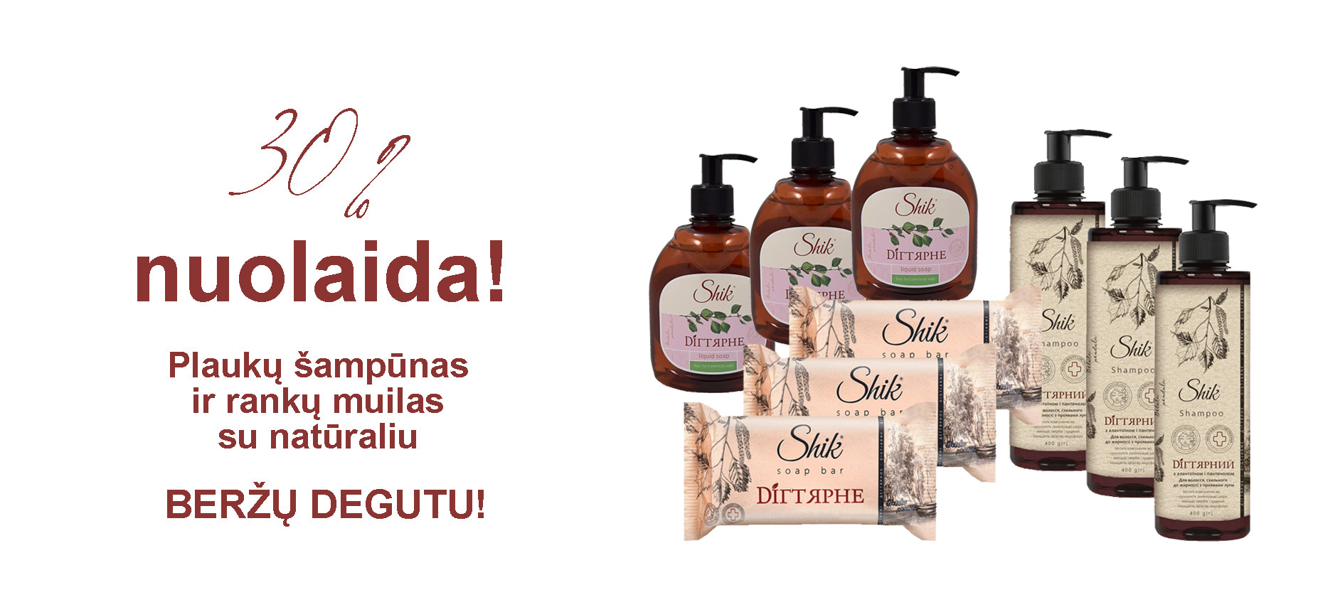 Degutinis